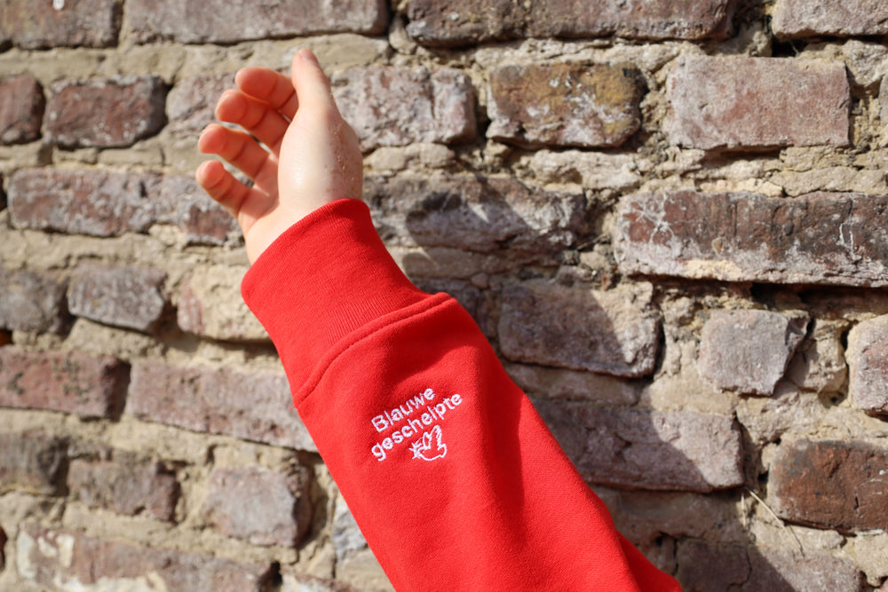 Trui met secret sleeve