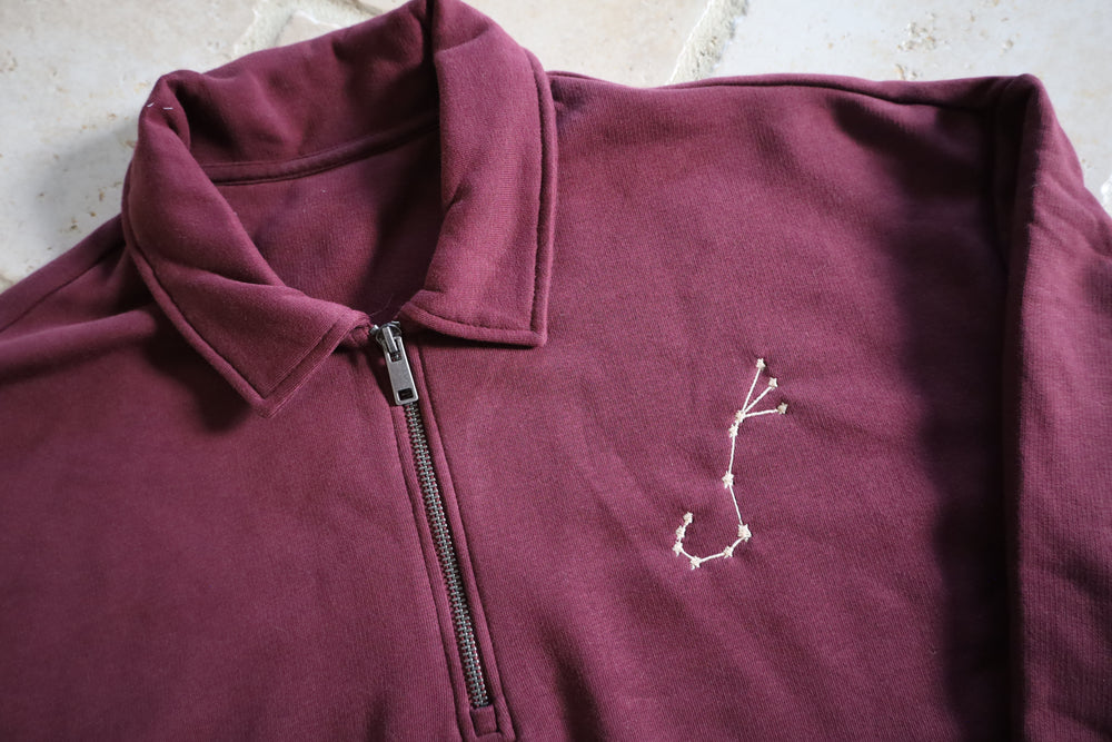 Polo trui met sterrenbeeld